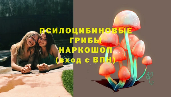 mix Алексин