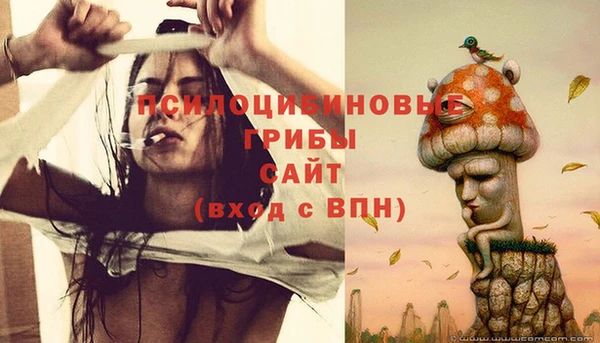 соль ск Алзамай