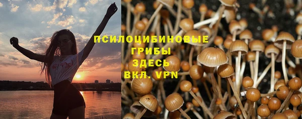 mix Алексин