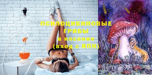соль ск Алзамай