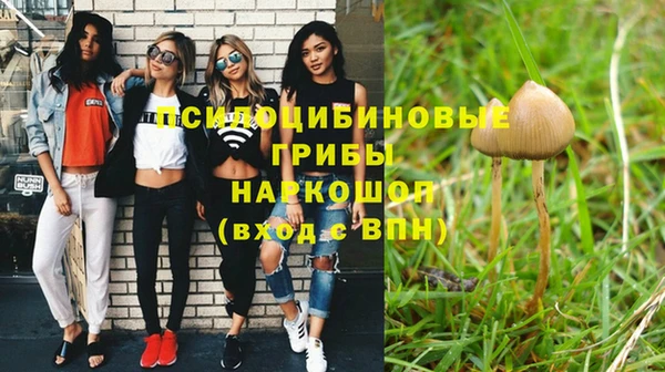соль ск Алзамай